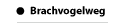 BRACHVOGELWEG